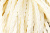 Тесьма декоративная "Шнур-косичка" - купить в Ачинске. Цена: 2.31 руб.