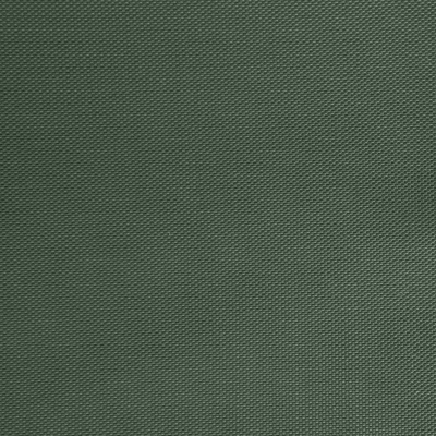 Оксфорд (Oxford) 240D 19-5917, PU/WR, 115 гр/м2, шир.150см, цвет т.зелёный - купить в Ачинске. Цена 152.54 руб.