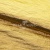 Текстильный материал "Диско"#1805 с покрытием РЕТ, 40гр/м2, 100% полиэстер, цв.5-золото - купить в Ачинске. Цена 412.36 руб.