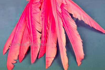 Декоративный Пучок из перьев, перо 25см/розовый - купить в Ачинске. Цена: 14.40 руб.