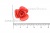 Украшение "Розы малые №1" 20мм - купить в Ачинске. Цена: 32.49 руб.