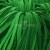 Шнур 15мм плоский (100+/-1м) №16 зеленый - купить в Ачинске. Цена: 10.21 руб.