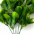 Трава искусственная -1, шт (эвкалипт лист 32 см/8 см)				 - купить в Ачинске. Цена: 169.93 руб.