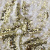 Трикотажное полотно, Сетка с пайетками, шир.130 см, #315, цв.-белый/золото - купить в Ачинске. Цена 693.39 руб.