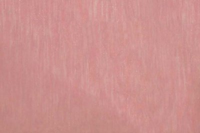 Органза однотонная "Амелия" С19 (Розовый) 280 см - купить в Ачинске. Цена 303.09 руб.