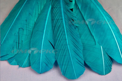 Декоративный Пучок из перьев, перо 24см/голубой - купить в Ачинске. Цена: 12.19 руб.