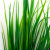Трава искусственная -2, шт (осока 41см/8 см)				 - купить в Ачинске. Цена: 104.57 руб.