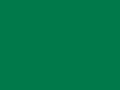 85 см № 258 яр. зеленый спираль (G) сорт-2 - купить в Ачинске. Цена: 16.97 руб.