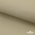 Ткань подкладочная TWILL 230T 14-1108, беж светлый 100% полиэстер,66 г/м2, шир.150 cм - купить в Ачинске. Цена 90.59 руб.