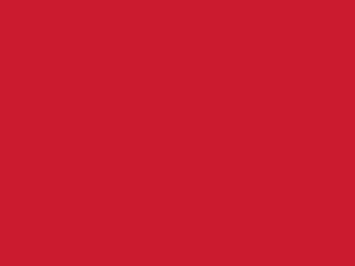 Сетка подкладочная красный, 60г/м2 (10 м/кг) - купить в Ачинске. Цена 885.73 руб.