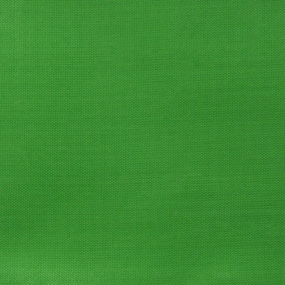 Ткань подкладочная Таффета 17-6153, 48 гр/м2, шир.150см, цвет трава - купить в Ачинске. Цена 54.64 руб.