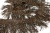 008-коричневый, Бахрома арт.001 шир.10см (упак.12+/-0,5м) - купить в Ачинске. Цена: 1 017.33 руб.