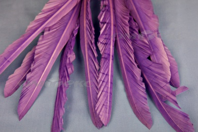 Декоративный Пучок из перьев, перо 25см/фиолетовый - купить в Ачинске. Цена: 12.19 руб.