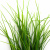 Трава искусственная -3, шт (осока 50 см/8 см  5 листов)				 - купить в Ачинске. Цена: 124.17 руб.